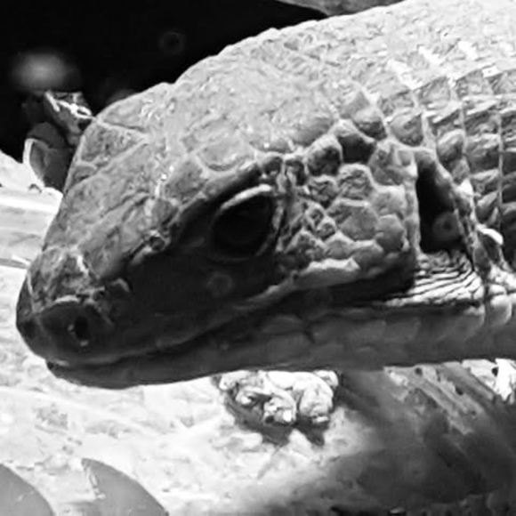 Profile Picture of Michael Blennerhassett (@mblennerhassett) on Poshmark