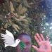 Profile Picture of Steve Caxton (@steve.caxton.5) on Facebook