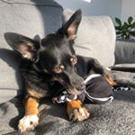 Profile Picture of Stefka (@tylko_stefka) on Instagram