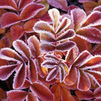 Profile Picture of Reba Smith (@rebasmith4) on Twitter