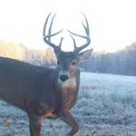 Profile Picture of Nathan Sugars (@bison_2023_) on Instagram