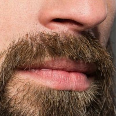 Profile Picture of Steve Says BIDEN WON!!! (@CaptAmerica08) on Twitter