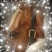 Profile Picture of Andrea Taylor (Tamlyn Farm) (@andrea.taylor.5876) on Facebook