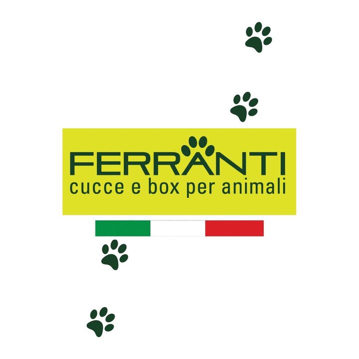Profile Picture of Ferranti (@ferrantinet) on Tiktok