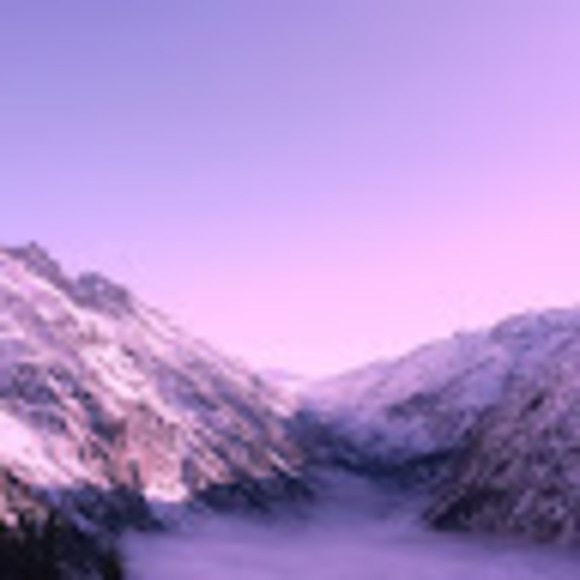 Profile Picture of Natalie Maillard (@nataliemaillard) on Poshmark