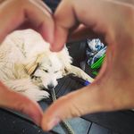 Profile Picture of Jacob Lamont (@jacob_lamont05) on Instagram