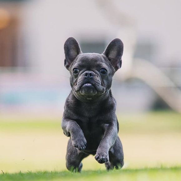 Profile Picture of Bobbi Nicole (@barnold84) on Poshmark