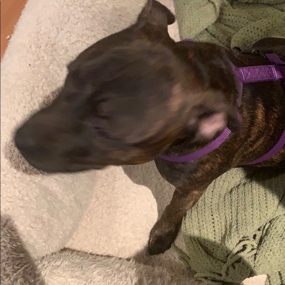 Profile Picture of Jake Rosenthal (@jra497) on Poshmark