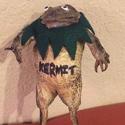 Profile Picture of Eli Keith (@EliKeith5) on Twitter