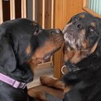 Profile Picture of Barbara Brambilla (@barbara.brambilla.5205) on Facebook