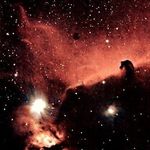 Profile Picture of 세계1등이 되는 그 날까지… (@world__first2) on Instagram