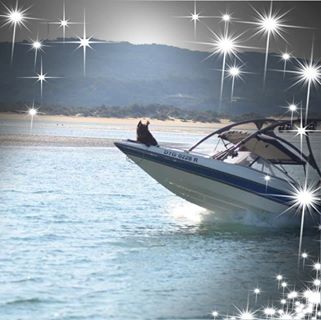 Profile Picture of Andre Prinsloo (@andre.prinsloo.5201) on Facebook