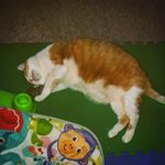 Profile Picture of Zachary Valente - McAllister (@zacharyvalente27) on Instagram