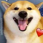 LisaYMora - Instagram Profile Picture of LisaYMora (@lisa_moradarlinqq) on Instagram