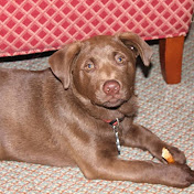 Profile Picture of Mike Shelton (@mikeshelton9863) on Youtube