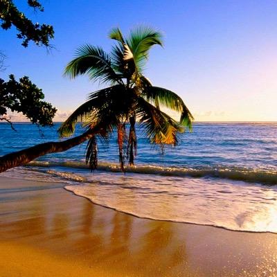 Profile Picture of Bsjananja (@AndyHarton) on Twitter