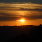 Profile Picture of Amy Chandler (@amychandler808) on Youtube