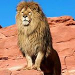 Profile Picture of Vicente Diaz Ayala (@ayalavicentediaz) on Instagram