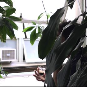 Michael Atallah - Pinterest Profile Picture of Michael Atallah (@atmichaels) on Pinterest