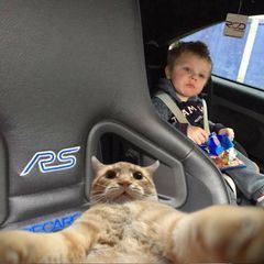 Profile Picture of Mark Milner811 (@1059markm) on Tiktok