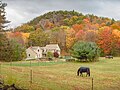 Profile Picture of Autumn in New Englandon Wikipedia