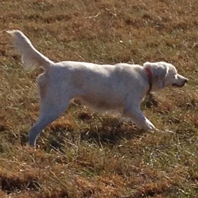 Profile Picture of Jeff Mabe (@Mabealous) on Twitter