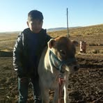 Profile Picture of Cesar Aliaga (@cesar.aliaga.39982) on Facebook