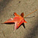 Profile Picture of Eric-hsieh (@eric-hsieh) on Flickr