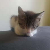 John Kanu - Youtube Profile Picture of John Kanu (@johnkanu2117) on Youtube