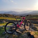 Profile Picture of Damian Armstrong (@mrdamianarmstrong) on Instagram