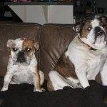 Profile Picture of Jake Haunty (@jakehaunty) on Instagram