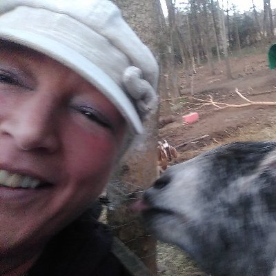 Profile Picture of Deborah Burch (@Deborah54174705) on Twitter