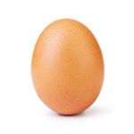 Profile Picture of Eggsposing KyLie (@exposing_kylie_jenner) on Instagram