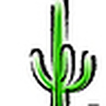 Profile Picture of Alex Z (@alex.v.z) on Flickr