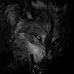 Profile Picture of Michael Anselmi (@michael.anselmi.313) on Facebook