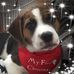 Profile Picture of Debbie Mills (@debbie.mills.7796420) on Facebook