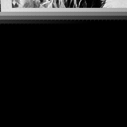 Profile Picture of MAMMA'Z BOY! (@442245985) on Myspace