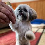 Profile Picture of Stephen Rideout (@helevastevo) on Facebook