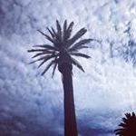 Profile Picture of Anne Connolly (@annecathcon) on Instagram