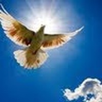 Roy Dittler - Quora Profile Picture of Roy Dittler (@roy-dittler) on Quora