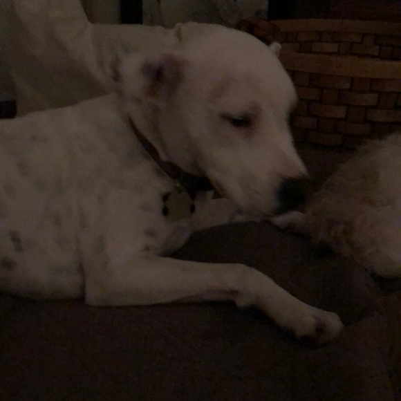 Alanna Hanna - Poshmark Profile Picture of Alanna Hanna (@alannah348) on Poshmark