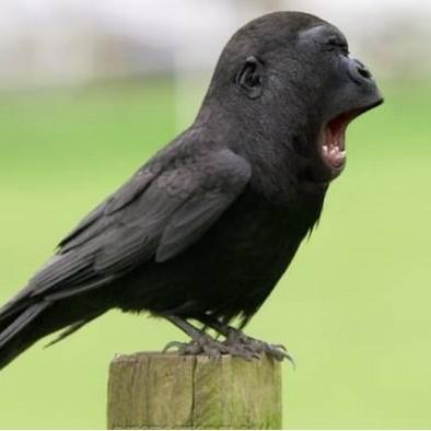 Profile Picture of Adam Farrar (@FarrarM8) on Twitter