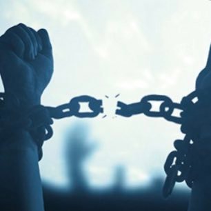 Profile Picture of Jeremiah Willis (@Freedomshield7) on Twitter