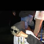 Aak Head Lity - Facebook Profile Picture of Aak Head Lity (@Aak-Head-Lity) on Facebook