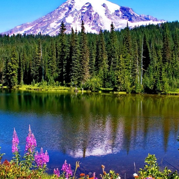 Profile Picture of Miengconcato22 Miengconcato22 (@miengconcato22) on Poshmark