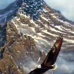 Patrick Salisbury - Facebook Profile Picture of Patrick Salisbury (@patrick.salisbury.58) on Facebook