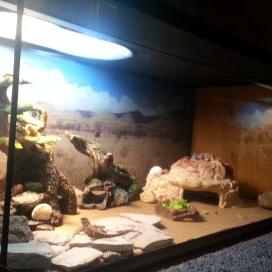 Profile Picture of Nick Antonetti (@antonetti_nick) on Twitter