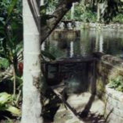 Tonia Khollman - Twitter Profile Picture of Tonia Khollman (@tjs2kool) on Twitter