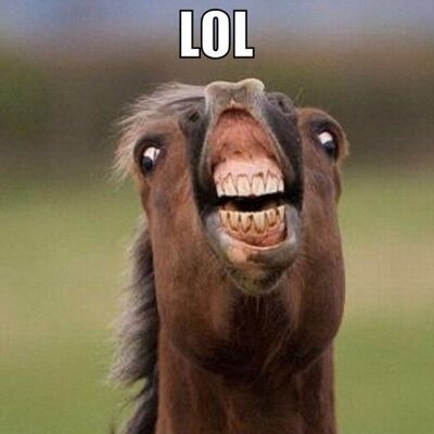 Profile Picture of Jonathan Nilsson (@JonNilsson217) on Twitter