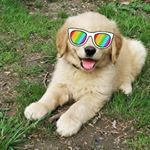 Profile Picture of Chad-studmuffin (@chadstudmuffin) on Instagram